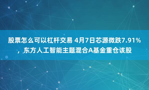 股票怎么可以杠杆交易 4月7日芯源微跌7.91%，东方人工智能主题混合A基金重仓该股