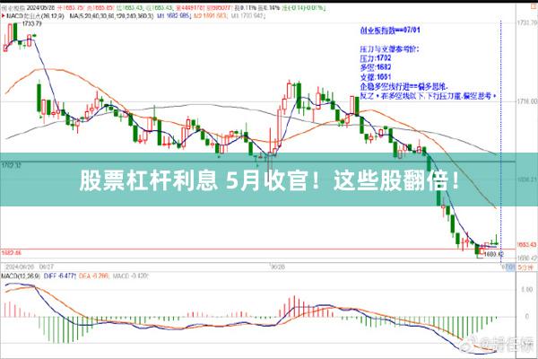 股票杠杆利息 5月收官！这些股翻倍！