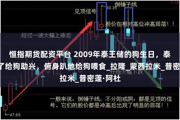 恒指期货配资平台 2009年泰王储的狗生日，泰王妃为了给狗助兴，俯身趴地给狗喂食_拉隆_蒙西拉米_普密蓬·阿杜