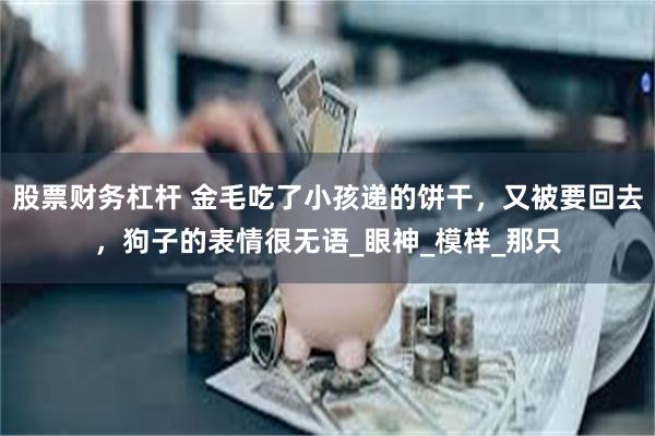 股票财务杠杆 金毛吃了小孩递的饼干，又被要回去，狗子的表情很无语_眼神_模样_那只