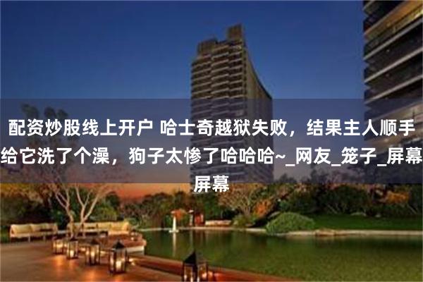 配资炒股线上开户 哈士奇越狱失败，结果主人顺手给它洗了个澡，狗子太惨了哈哈哈~_网友_笼子_屏幕