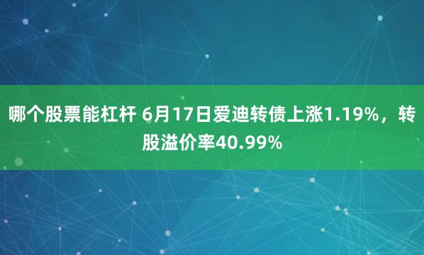 哪个股票能杠杆 6月17日爱迪转债上涨1.19%，转股溢价率40.99%