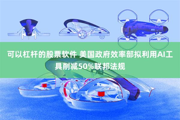 可以杠杆的股票软件 美国政府效率部拟利用AI工具削减50%联邦法规
