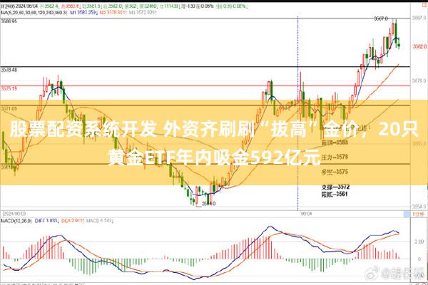 股票配资系统开发 外资齐刷刷“拔高”金价，20只黄金ETF年内吸金592亿元