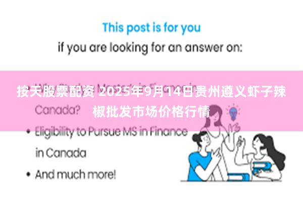 按天股票配资 2025年9月14日贵州遵义虾子辣椒批发市场价格行情