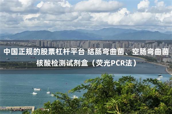 中国正规的股票杠杆平台 结肠弯曲菌、空肠弯曲菌核酸检测试剂盒(荧光PCR法)