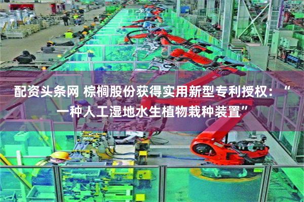 配资头条网 棕榈股份获得实用新型专利授权：“一种人工湿地水生植物栽种装置”